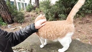 Leo the cat had a lot to tell us