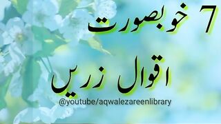Best aqwale zareen 2