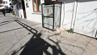 A fat cat lying completely relaxed on the street where people walk