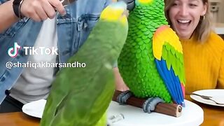 Sweet Parrot