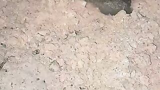 Looking for a fish or eel... Thanks for watching..!! 8