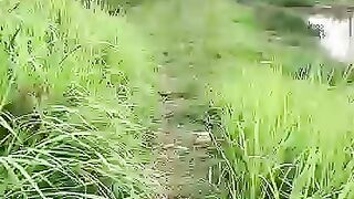 Looking for a fish or eel.. Thanks for watching..!! 23