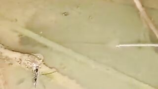 Looking for a fish or eel.. Thanks for watching..!! 24