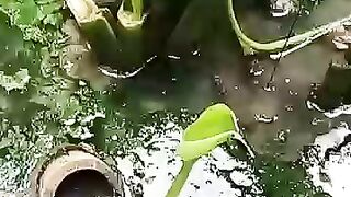 Looking for a fish or eel.. Thanks for watching..!! 25