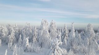 Winterhalter - id | Trending HD Video 39