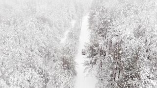 Winter solstice - aerial shot of woods covered of snow | Trending HD Video