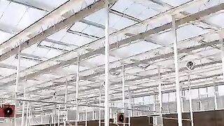 Construction viral video