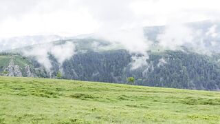 Travel Backpack - aerial view of misty vosges mountains landscape | Trending HD Video