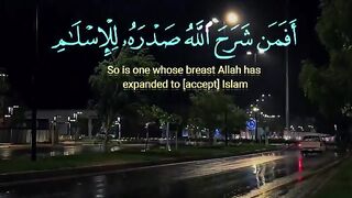 Tilawat e Quran Majeed 13