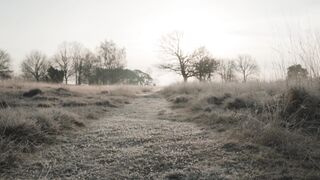 Winter Coat - clearing in a grass land use as trail for people | Trending HD Video