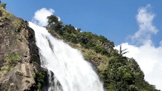 Travelpro - majestic waterfall in lush green landscape | Trending HD Video