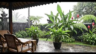 ASMR rain at village