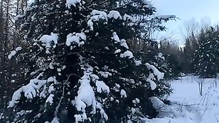 Making a Quick Winter Shelter.mp4.2026