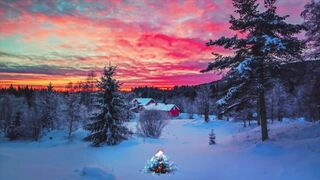 Snow boot - id | Trending HD Video 22