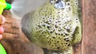 Rusty Machine Parts! ⚙️ Heavy Duty ASMR Clean