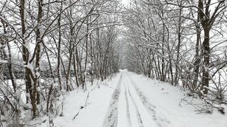 Winter solstice - a snow covered pathway | Trending HD Video