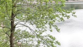 Travel Backpack - tranquil view of lake and forest in vosges | Trending HD Video