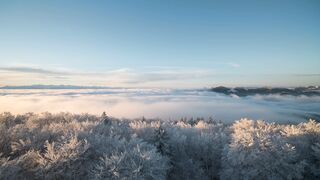 Winterhalter - id | Trending HD Video 43