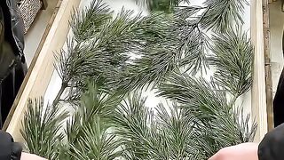Beatiful décoration 6