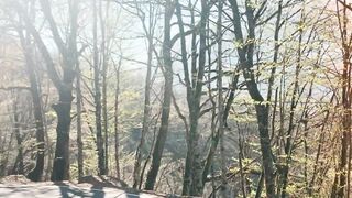 Travel Backpack - sunny day | Trending HD Video