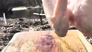 Roasted Chicken ????