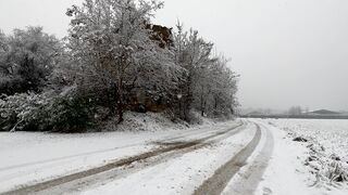 Winter solstice - snowy highway with trees | Trending HD Video
