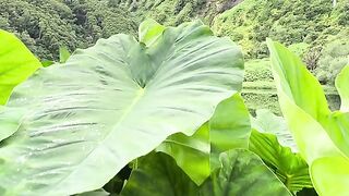 Looking for a destination that doesn’t just impress visually — but genuinely changes how a place feels? Then Portugal’s Atlantic ????????