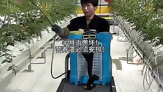 Tomato spray chaina