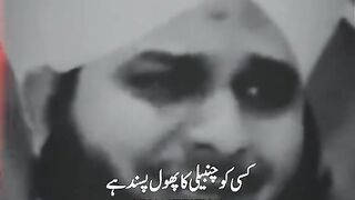 ???????????????? ???????????????????????????? ???????????????????????? ???????????????? ????????????????????????