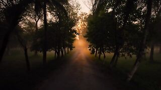 "This moment when light breaks through the darkness is the most beautiful."