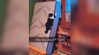 Funny Videos Part 19