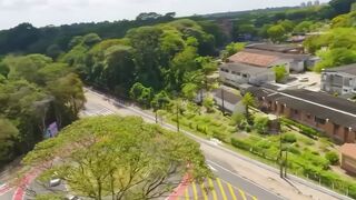 Um voo rasante sobre a estrada