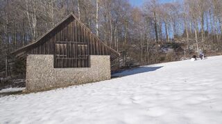 Winter Coat - id | Trending HD Video 36