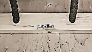 Professeur de physique Sigma, illusion de physique 28