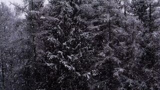 Winter Coat - id | Trending HD Video 37