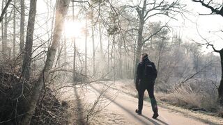 Winterhalter - id | Trending HD Video 46