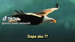 Akan tiba waktunya 2