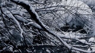 The Shy Snow Woman and the Cursed Ring - snow covered tree branches over a flowing creek | Tren