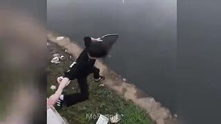 Funny Videos 73