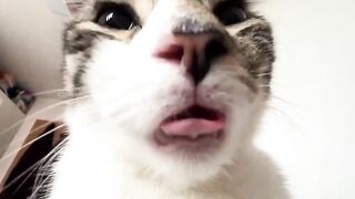 You look just like me.