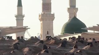 Islamic Videos For Status ???? Servants Of Allah ???? #islam #muslim #quran