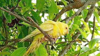 সাইদুল ইস্তেগফার