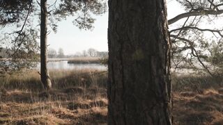 Winter solstice - id | Trending HD Video 47