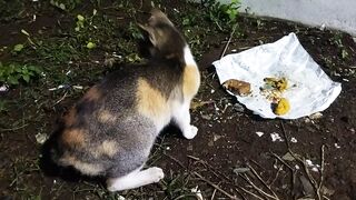 Makan malam di bawah hujan