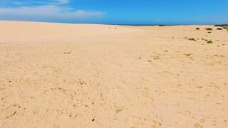 The Wedding People A Novel - drone footage of two people walking in a desert by the sea | Trend