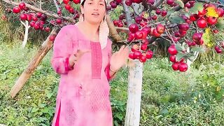Aisa Moka bar bar ni milega