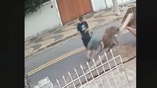 Funny Videos Part 36