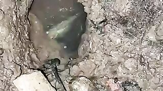 Looking for a fish or eel.. Thanks for watching..!! 27