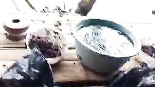 Looking for a fish or eel... Thanks for watching..!
