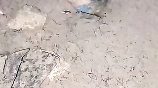Looking for a fish or eel... Thanks for watching..! 2